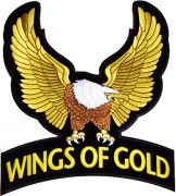wings of gold patch eagle patch with wings of gold