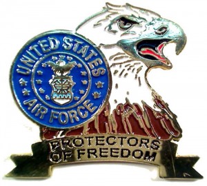 Air Force Eagle Pin