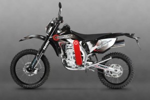 450 DS bike