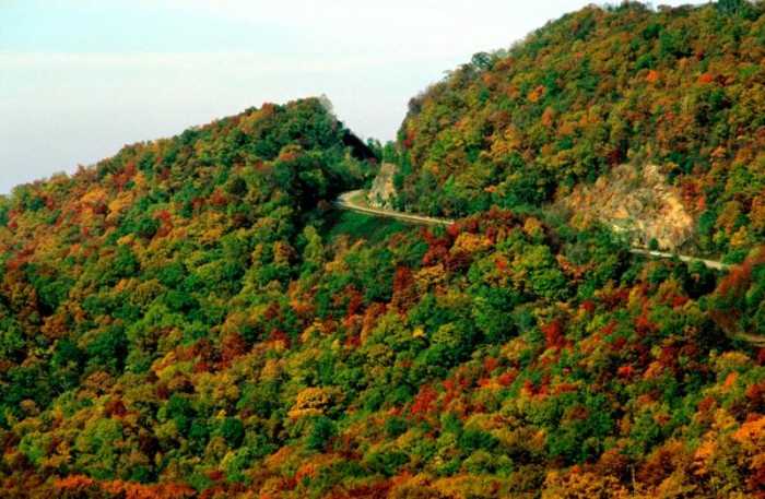 Cherokee National Forest, TN