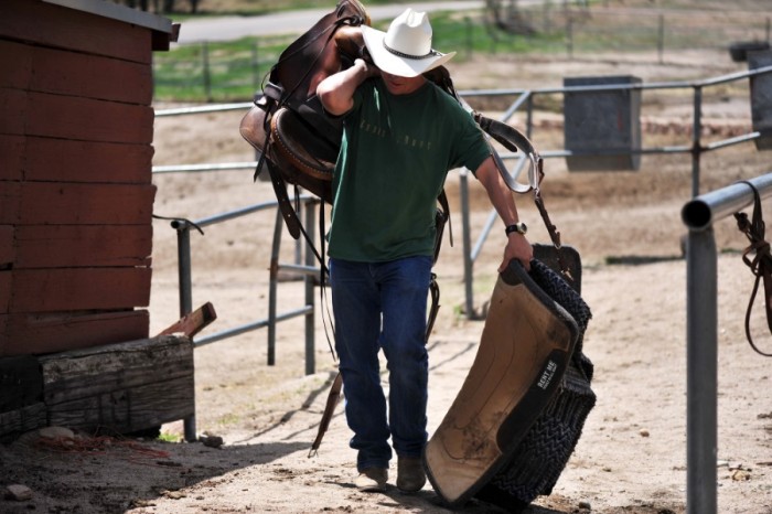 patches for saddles, other uses for patches, patches