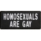 Homosexuals Are Gay Patch