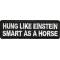 Hung Like Einstein Smart As A Horse Patch