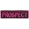 Prospect Patch 3.5 Inch Pink