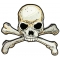 Skull and Cross Bones Large Back Patch