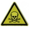Danger Skull Triangle Yellow Patch