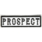 Prospect Patch Black On White