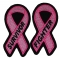 Set of 2 Fighter and Survivor Breast Cancer Pink Ribbon Patches