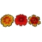Set of 3 Orange Flower Patches