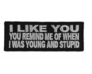 I Like You, You Remind Of When I Was Young And Stupid Patch | Embroidered Patches