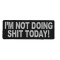 I'm Not Doing Shit Today Patch