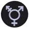 Transgender Awareness Patch