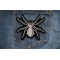 Mechanical Spider Patch shown on jeans