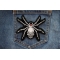 Skull Spider Patch shown on jeans