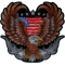 American Flag Eagle Patch