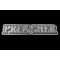 Preacher Pin