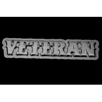 Veteran Pin