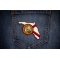 Florida Patch with State Seal and Map shown on jeans