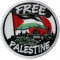 Free Palestine Patch