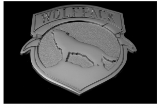 Wild animal pins Wild animal pins
