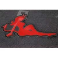 Novelty Ladies Patches