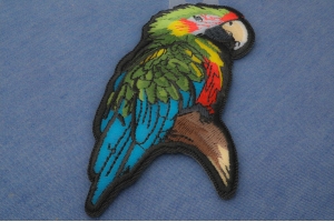 Birds and Bugs