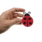 Lady Bug Iron On Patch Lady Bug Iron On Patch shown on hand for size comparison