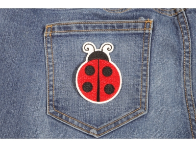 Lady Bug Iron On Patch