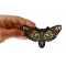 Moth Skull Patch, Skull Patches shown on hand for size comparison