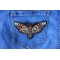 Moth Skull Patch shown on jeans