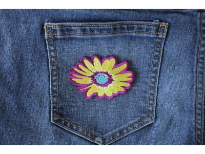 Yellow and Purple Flower Patch