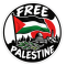 Free Palestine Patch
