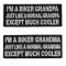 Funny Biker Grandma and GrandPa Cool Patch