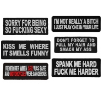 Naughty Toxic Sexy Sayings for Ladies Iron-on or Sew-on Embroidered Patches for Fabrics Set of 6