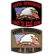2nd Amendment Support Patches Set Of 2 NEVER SURRENDER RIGHT TO BEAR ARMS