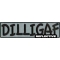 Reflective Dilligaf Patch