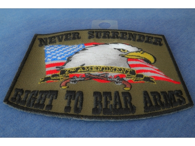 Never Surrender 2nd Amendment Patch In Army Green Color | US Military Veteran Patches