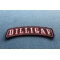 Dilligaf Patch diagonal view