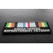 Armed Forces Expeditionary Patch diagonal view