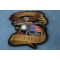 Patriotic Eagle Biker Small Iron on Patch Freedom Isn't Free diagonal view