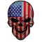 American Flag Skull Patch