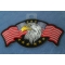 Star Spangled Banner Eagle Patch Star Spangled Banner Eagle Patch diagonal view