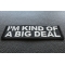 I'm Kind of a Big Deal Funny Iron on Patch diagonal view