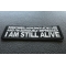 Sometimes I look Back at my Life and I'm Seriously Impressed I am Still Alive Patch diagonal view
