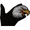 Eagle Head Facing Right Iron on Sew on Patch Eagle Head Facing Right Iron on Biker Patch shown on hand for size comparison