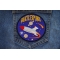 Galactic Explorer Patch shown on jeans