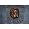 PitBull Dog Iron on Patch shown on jeans