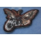 Moth Biker Patch diagonal view