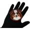 Australian Shepard Dog Iron on Patch shown on hand for size comparison