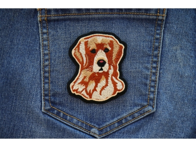 Handsome Retriever Dog Iron on Patch